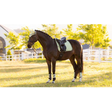LeMieux Suede Dressage Square Reflective Badge Groen LeMieux Suede Dressage Square Reflective Badge Groen