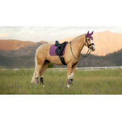 LeMieux Suede Dressage Square Reflective Kaasjeskruid Violet