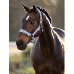 Halster LeMieux Essence Poederblauw