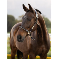 Licol LeMieux Touw Controle Zwart Licol LeMieux Touw Controle Zwart