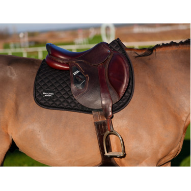 Zadelpad Le Sabotier Igor Zwart