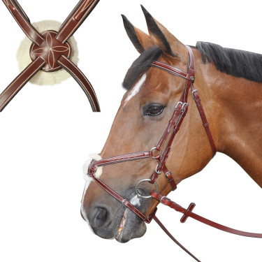 Bridon Lexington Denver Gekruist Kameel Bruin