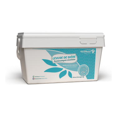 Biergisten Horse Master