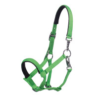 Veulenhalster HKM Millie Neon groen Veulenhalster HKM Millie Neon groen