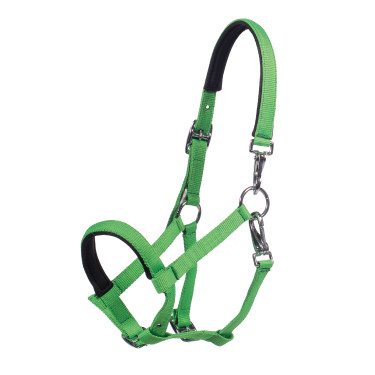 Veulenhalster HKM Millie Neon groen