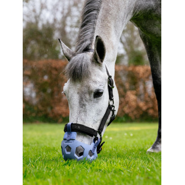 LeMieux Noma graaskorven Poederblauw