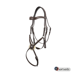 Signature-hoofdstel by Antares gecombineerde neusriem Bruin