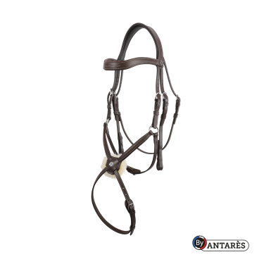 Signature-hoofdstel by Antares gecombineerde neusriem Bruin