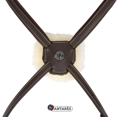 Signature-hoofdstel by Antares gecombineerde neusriem Bruin