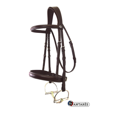 Signature hoofdstel by Antares Hunter Bruin