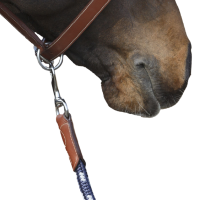 Antares longeerlijn Mout