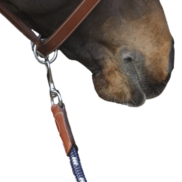 Antares longeerlijn Mout