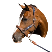 Antares stressless halster met nerfpatroon Mout