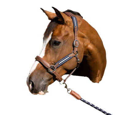 Antares stressless halster met nerfpatroon Mout