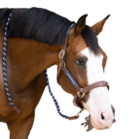 Antares stressless halster met nerfpatroon Mout