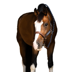 Antares stressless halster met nerfpatroon Mout