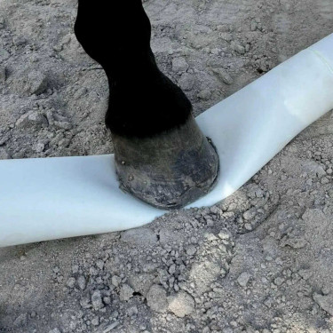 Modulaire zachte grondbalk Hippotonic Wit