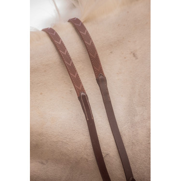 Teugels Eden Pénélope