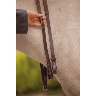 Teugels Eden Pénélope