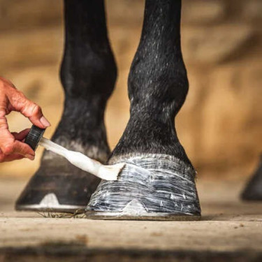 Hoefolie Carr & Day & Martin Daily Hoof Moisturiser Cornucrescine Hoefolie Carr & Day & Martin Daily Hoof Moisturiser Cornucrescine