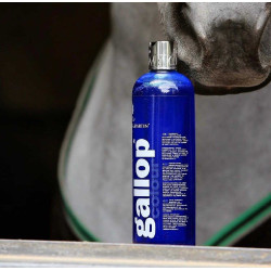 Gallop® Shampoo Carr & Day & Martin Grijs Gallop® Shampoo Carr & Day & Martin Grijs