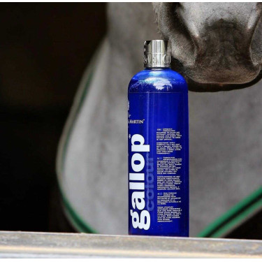 Gallop® Shampoo Carr & Day & Martin Grijs Gallop® Shampoo Carr & Day & Martin Grijs