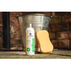 Antibacteriële shampoo Gallop® Carr & Day & Martin