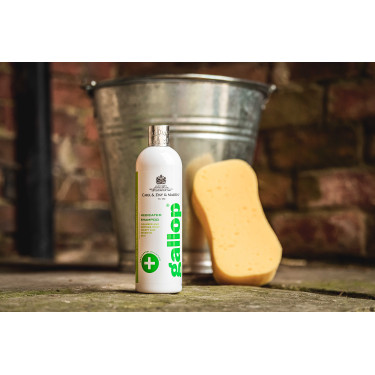 Antibacteriële shampoo Gallop® Carr & Day & Martin
