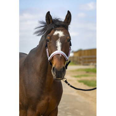 Halster Equithème Nylon Check