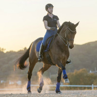 LeMieux Suede Dressuur Zadeldek Benetton blauw LeMieux Suede Dressuur Zadeldek Benetton blauw