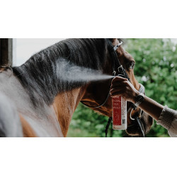 Glansontklitter Rekor Show Coat