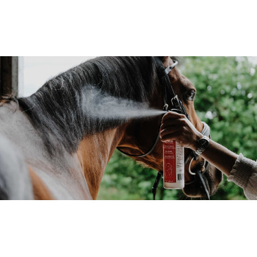 Glansontklitter Rekor Show Coat