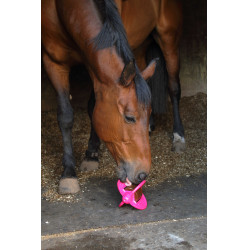 Speelgoed Bizzy Ball Likit Fuchsia Roze