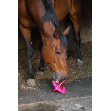 Speelgoed Bizzy Ball Likit Fuchsia Roze