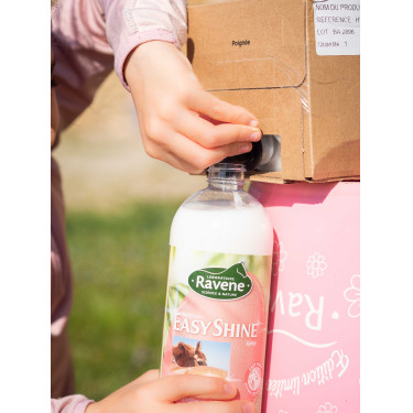 Easy Shine Ravene Eco-Navulling