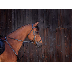 Martingaal met ringen Riding World