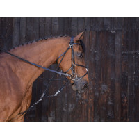 Katrolblok Riding World Havana Bruin