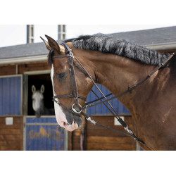Katrolblok Riding World Havana Bruin Katrolblok Riding World Havana Bruin