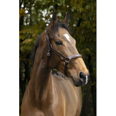 Anatomisch halster Norton Pro Anatomisch halster Norton Pro