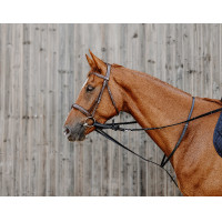 Norton Pro Thiedeman-hulpteugel Zwart Norton Pro Thiedeman-hulpteugel Zwart