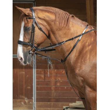 Norton Pro Thiedeman-hulpteugel