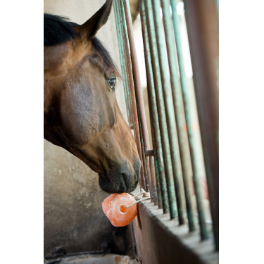 Hippotonic Himalaya zoutsteen