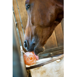 Hippotonic Himalaya zoutsteen