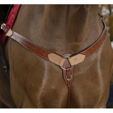 Jachtborsttuig Randol'S Two Tone