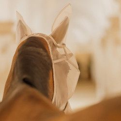 Klassiek anti-vliegenmasker met oren en neuskap Kentucky Beige