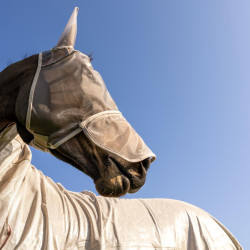 Klassiek anti-vliegenmasker met oren en neuskap Kentucky Beige