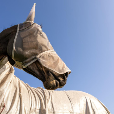 Klassiek anti-vliegenmasker met oren en neuskap Kentucky Beige