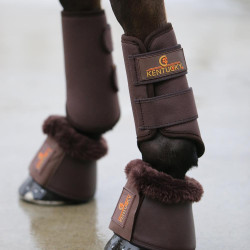 Gesloten peesbeschermers 3D Spacer Kentucky Bruin