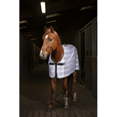 Overhemd Riding World Mesh Overhemd Riding World Mesh