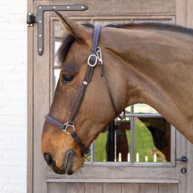 Halster Voor Poetsen Working By Dy'on Bruin